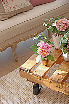花,盆栽,桌上