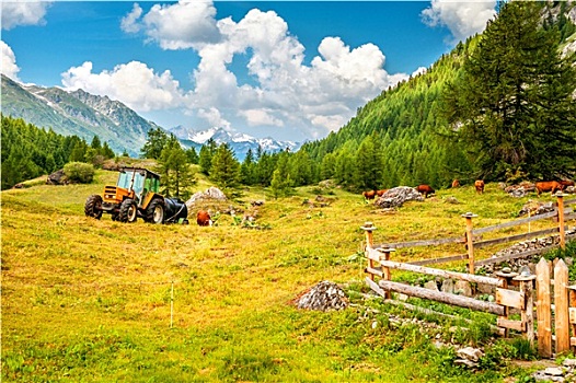 美景,風(fēng)景
