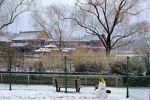 初雪