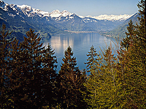 湖,围绕,山峦,瑞士