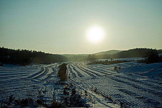 雪野,北方,东北,大雪,原野,土地,冬季,洁白,干净,风景,村庄,农村