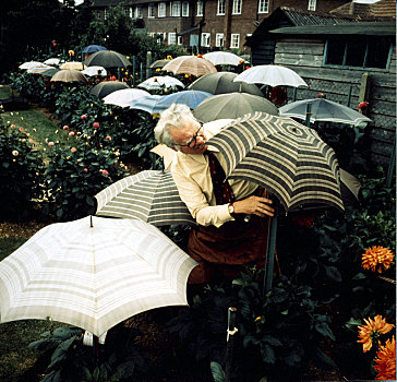 园丁,伞,英格兰,英国