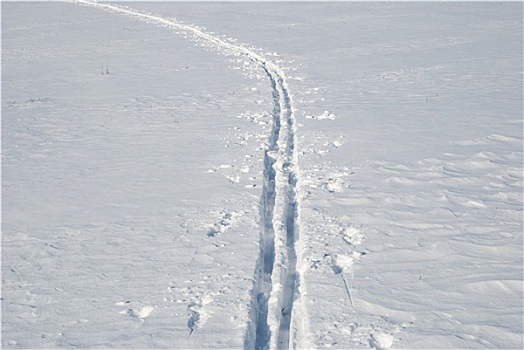 越野滑雪