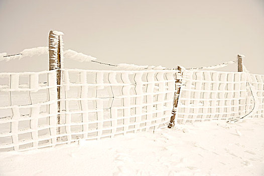 霜,栅栏