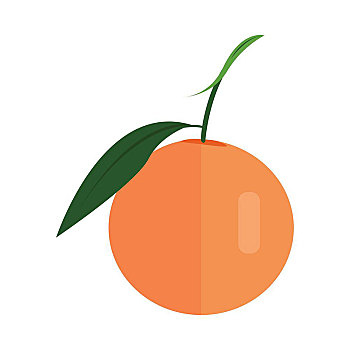 橙色,矢量,风格,设计,水果,插画,概念,旗帜,象征,移动,象形图,隔绝,白色背景,背景,柑橘