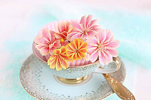 粉色,橙色,花,旧式,意式特浓咖啡杯