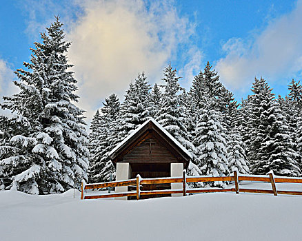 小教堂,积雪,针叶树,冬天,阿尔卑斯山,奥地利