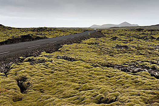 道路,熔岩原,火山岩,遮盖,石头,苔藓,南方,半岛,雷克雅奈斯,冰岛,欧洲
