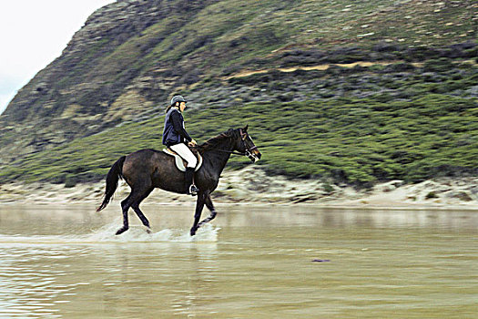 女人,骑,马,浅水,靠近,岩石,岸边