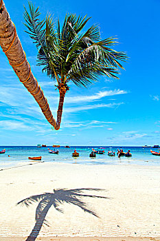 苏梅岛,泰国,湾,亚洲,岛,海滩,石头,独木舟,棕榈树,南海