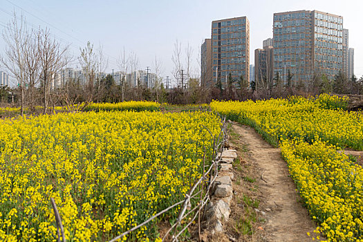 自然风景