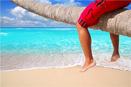 加勒比,棕榈树,海滩,旅游,腿