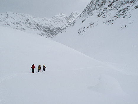 滑雪,旅游,阿尔卑斯山,提洛尔,奥地利