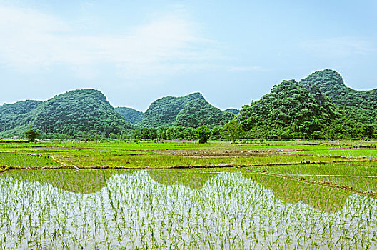 田园风光