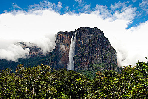 天使,瀑布,世界,卡奈伊玛国家公园,委内瑞拉,南美