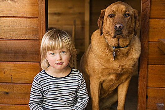 白人,女孩,3岁,拉布拉多犬,狗