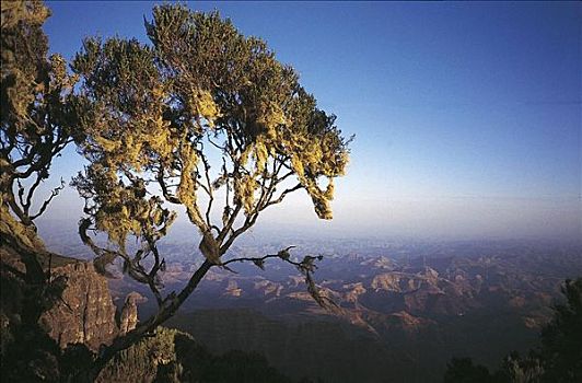 塞米恩国家公园,山峦,埃塞俄比亚,非洲