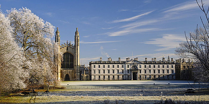 风景,迟,哥特式,小教堂,大学,建筑,树,白霜,后背,剑桥,剑桥郡,英格兰,英国,欧洲