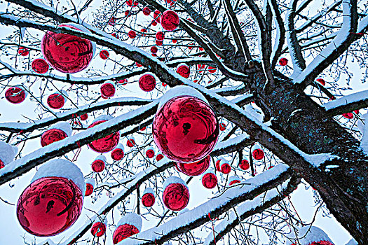 红色,圣诞节,彩球,雪,树