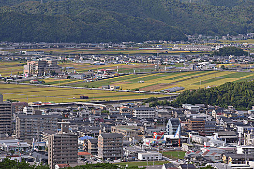 斑点,五台山,日本