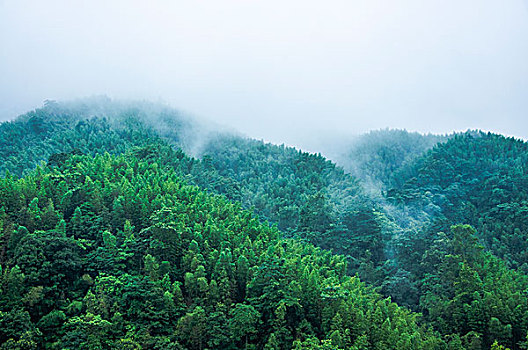 雨雾山景