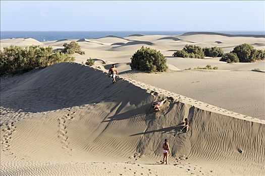 沙丘,大卡纳利岛,西班牙