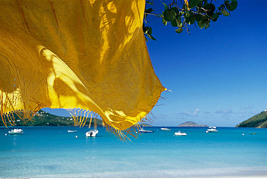 黄色,布,枝条,海滩,圣托马斯,美国维京群岛