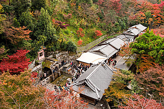 秋天,清水寺,京都,日本