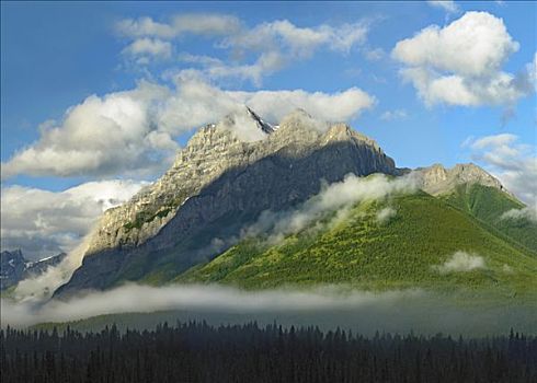 山,斜坡,遮盖,针叶林,卡纳纳斯基斯县,艾伯塔省,加拿大