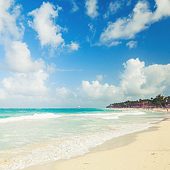 沿岸,加勒比,沙滩,大西洋,海洋,多米尼加,旧式,照片,老,风格
