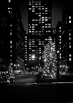 美国,纽约,曼哈顿,圣诞装饰,公园大道