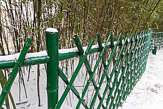 公园,植物园,篱笆,雪,竹子