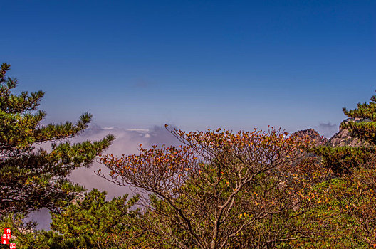 黄山秋景