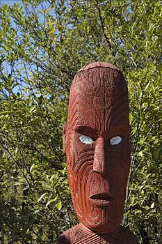 木刻,乡村,罗托鲁瓦,岛屿,新西兰