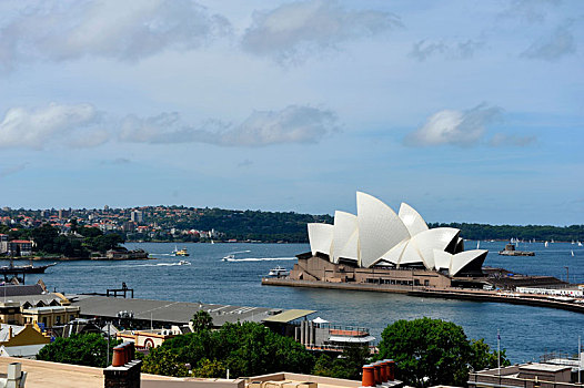 澳大利亚,悉尼,歌剧院,考拉,袋鼠,游艇