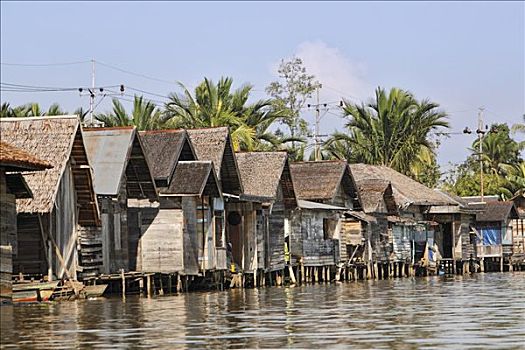 房子,乡村,银行,河,靠近,南,加里曼丹,婆罗洲,印度尼西亚,东南亚