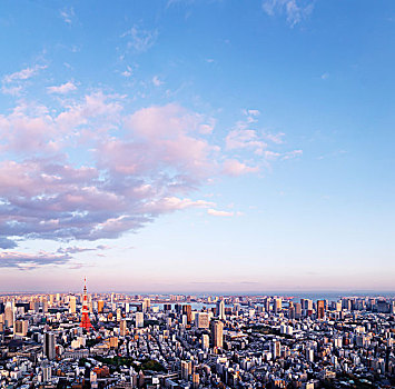 城市,東京,日本,亞洲