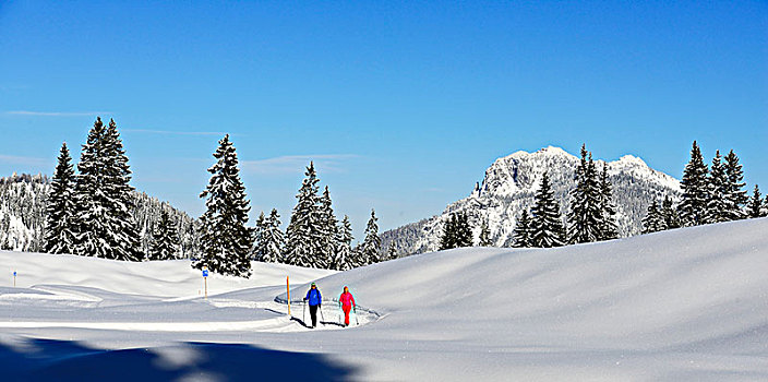 两个,远足,走,积雪,山景,冬天,徒步旅行,齐姆高,奥波拜延,巴伐利亚,德国