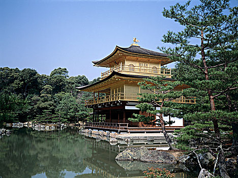 庙宇,靠近,水塘,京都,日本