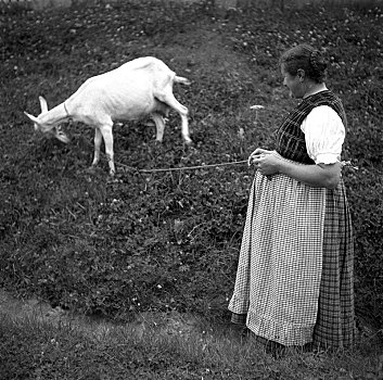 主妇,山羊,放牧,拴狗绳,靠近,德国,欧洲