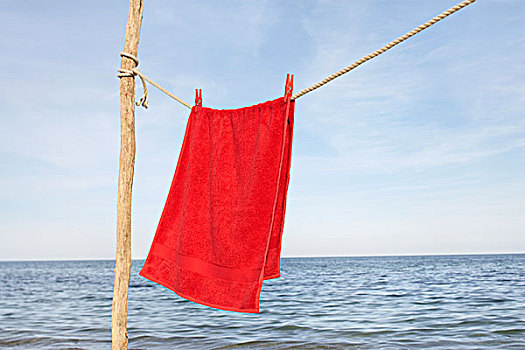 毛巾,比基尼,悬挂,晾衣绳,海滩