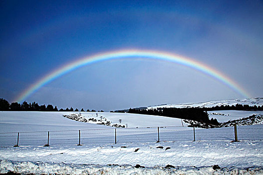 彩虹,上方,雪,农田,靠近,奥塔哥,南岛,新西兰