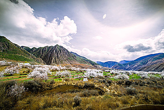 高原风景