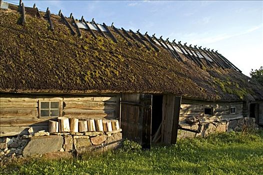 老,房子,遮盖,芦苇,岛屿,爱沙尼亚,波罗的海国家