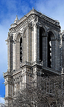 法国巴黎圣母院,局部