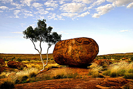 魔鬼,大理石,北领地州,澳大利亚