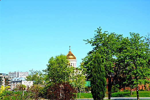 穹顶,大教堂,耶稣,上方,屋顶,莫斯科