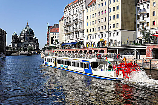 游艇,施普雷河,柏林大教堂,背影,柏林,德国,欧洲