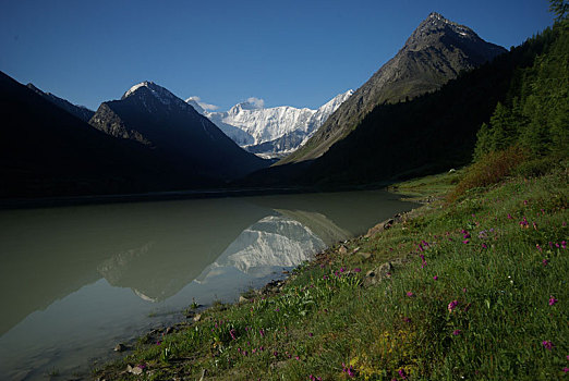 山,河,水流,峡谷,石头,岩石,陆地,靠近,漂亮,山景