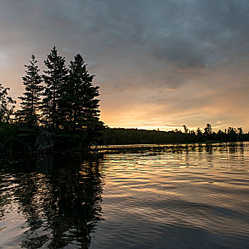 剪影,树,日落,湖,木头,安大略省,加拿大